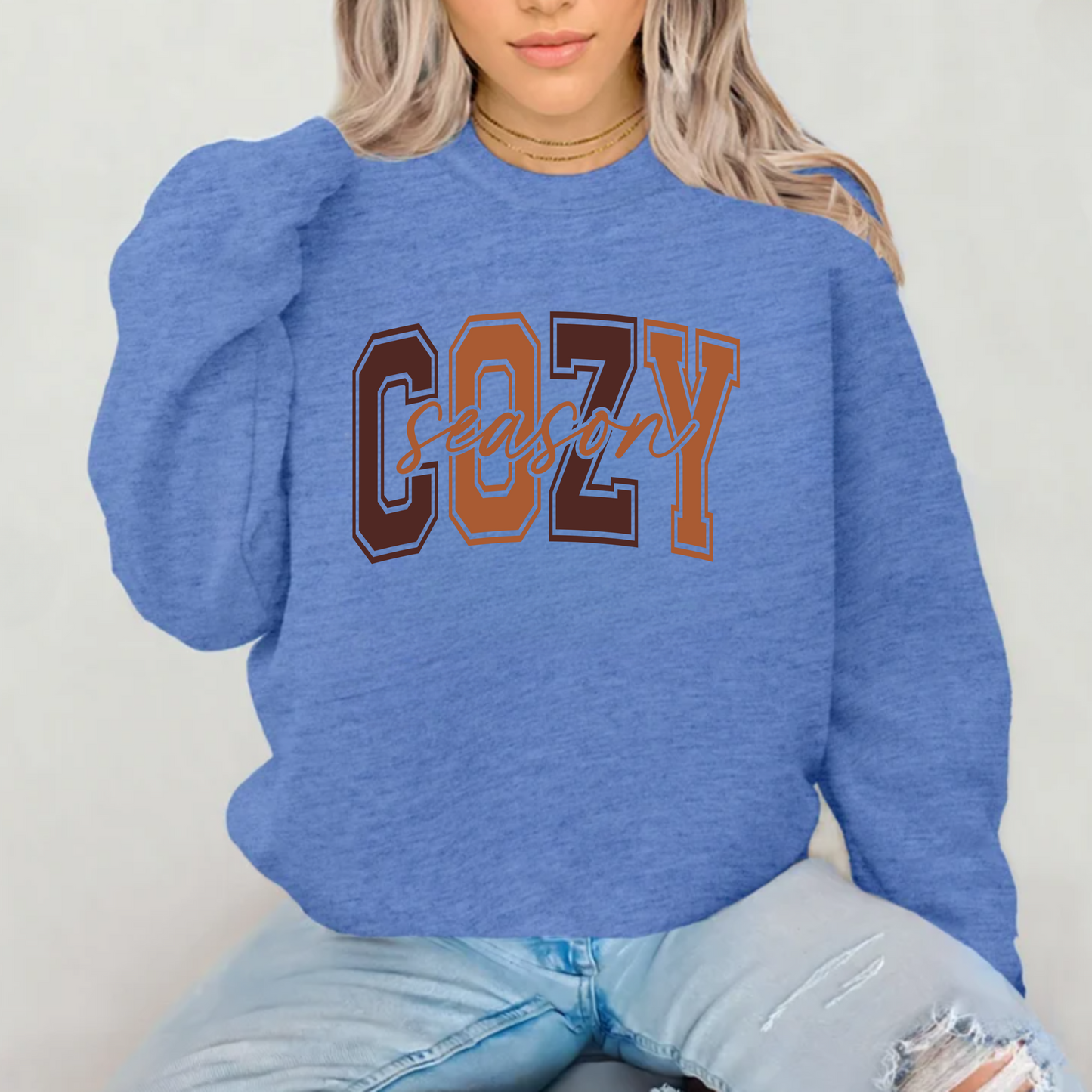 Cozy Season png