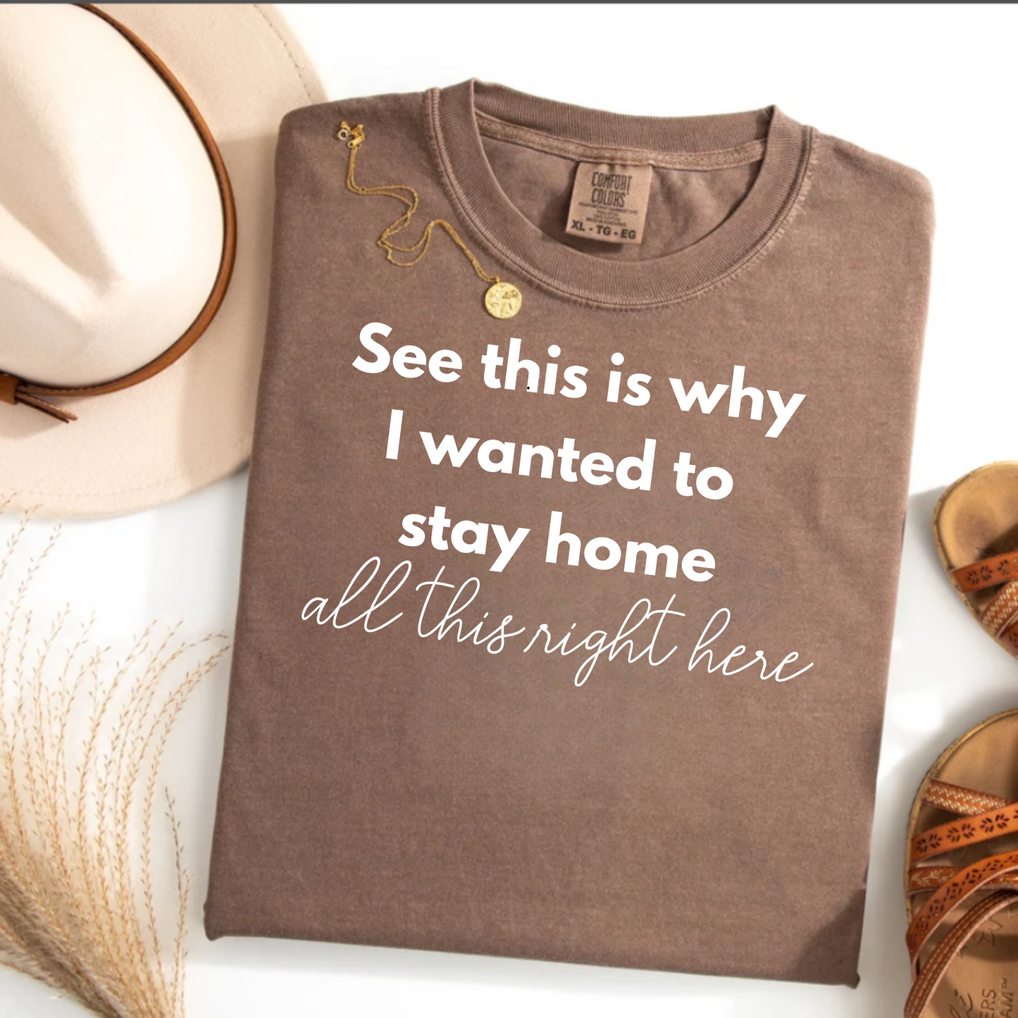 Graphic Tee 'This is why I wanted to stay home'